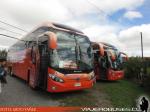 Mascarello Roma 370 / Mercedes Benz O-500RSD - Volvo B420R / Pullman Austral - Pullman Bus