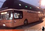 Youngman JPN6137 / Pullman Bus