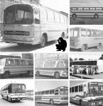 Buses Ghisoni - Región de Magallanes