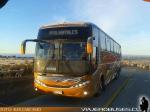 Comil Campione 3.65 / Volvo B12R / Buses Pacheco