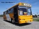 Metalpar Petrohue 2000 / Mercedes Benz OH-1420 / Linea 626