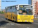 Thamco Santo Amaro / Mercedes Benz OF-1318 / Linea 620