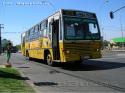 Caio Vitoria / Mercedes Benz OF-1318 / Linea 361