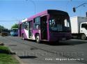 Neobus Mega / Mercedes Benz OH-1115 L SB / Linea 350