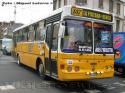 Metalpar Petrohue 2000 / Mercedes Benz OH-1420 / Linea 137