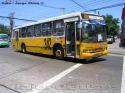 Marcopolo Torino GV / Volvo B10M / Linea 342