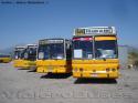 Flota Linea 423 / Mercedes Benz OH-1420