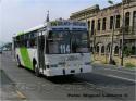 Dimex 654-210 Casa Bus / Linea 114