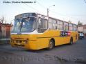 Ciferal GLS / Mercedes Benz OH-1420 / Linea 637