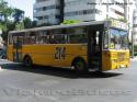 Metalpar Petrohue / Mercedes Benz OF-1318 / Linea 214