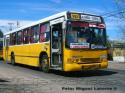 Marcopolo Torino GV / Volvo B10M / Linea 395