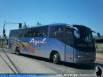 Irizar Century / Mercedes Benz O-400RSE / Linea Azul