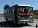 Marcopolo Allegro / Mercedes Benz OF-1115 / Los Alces