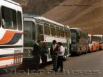 Unidades Paso Los Libertadores 1993