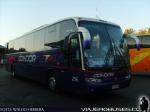 Unidades Condor Bus / Terminal Sur - Santiago