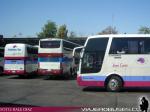 Unidades Mercedes Benz - Scania / Pullman Tur