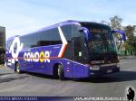 King Long XMQ6130Y / Condor Bus