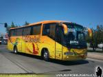 Irizar Century / Volvo B10R / Linatal