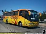 Irizar Century / Volvo B10R / Linatal