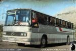 Mercedes Benz O-364 / Particular