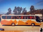 Marcopolo Viaggio 1050 / Mercedes Benz OF-1721 / Interregional
