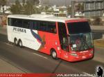 Unidades Scania / Pluma - Servicios a Santiago