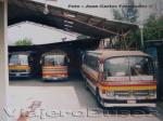 Unidades Buses Alfer Ligua