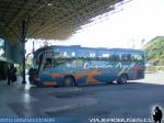 Irizar Century / Volvo B7R / Linea Azul