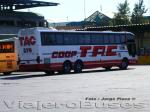 Busscar Jum Buss 380 / Mercedes Benz O-400RSD / Coop. TAC