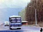 Unidades Antiguas / Buses Golondrina