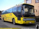 Mercedes Benz O-303 / Buses Arzola