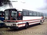 Mercedes Benz O-303 / Particular