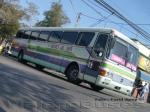 Mercedes Benz O-400RSL / Buses Al Sur