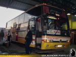 Marcopolo Paradiso GV1150 / Mercedes Benz O-400RSD / Cruz del Sur