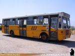 Metalpar Petrohue / Mercedes Benz OF-1620 / Linea 423