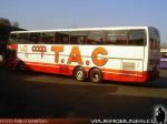 Eurobus Max CB Arbus / Coop. Tac