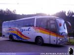 Unidades Irizar Century / Mercedes Benz O-400RSE - O-500R - Volvo B7R / Linea Azul