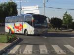 Irizar Century / Scania K124IB / Jet Sur