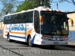 Marcopolo Viaggio 1050 / Scania K124IB / Pullman Carmelita