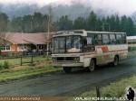 Caio Gabriela / Mercedes Benz 1113 / Nar-Bus