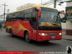 Zhong Tong Catch / Buses Palmira