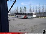 Flota de Buses Pullman Bus