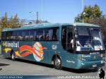 Flota de Buses Linatal - Bio Linatal