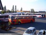 Flota de Buses Pullman Bus - Super Expreso Parte 2