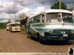 Flota de Buses Jure / Los Angeles