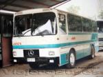 Magirus Deutz / Iveco / Buses Alfer