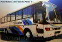 Metalpar Yelcho / Mercedes Benz OF-1620 / Buses Golondrina