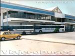 Nielson Diplomata Serie 200 / Scania BR116 / Elqui Bus Palacios