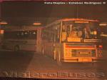 Nielson Diplomata Articulado / Scania B111 / Transbus