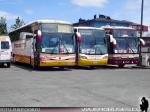 Flota de Buses Cruz del Sur